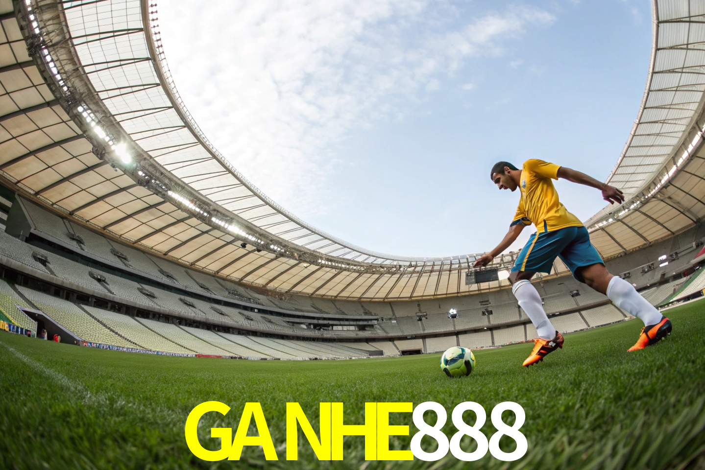 apostas esportivas